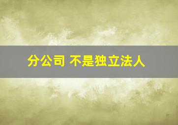 分公司 不是独立法人